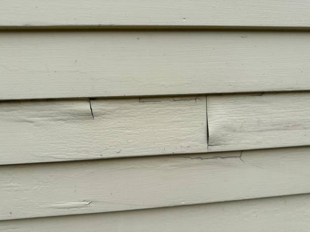 Best Vinyl Siding Installation  in Coopertown, TN